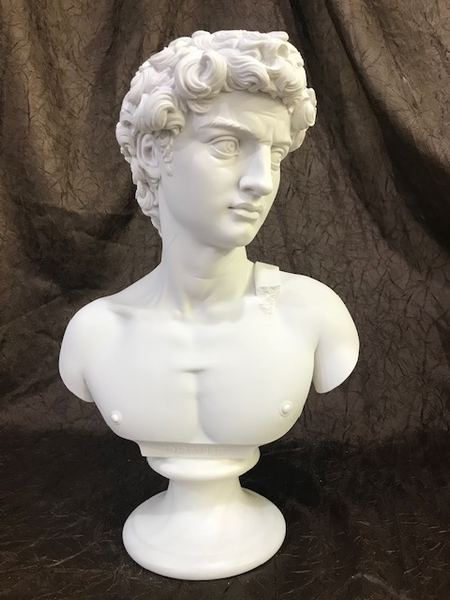 David Bust Sculptural Portrait Marble by Michelangelo Drawing Study
